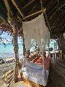 driftwood 2.webp