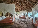 driftwood 1.webp