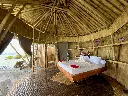 bambu 2.webp