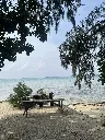 driftwood 6.webp