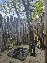 driftwood 5.webp