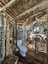 driftwood 3.webp